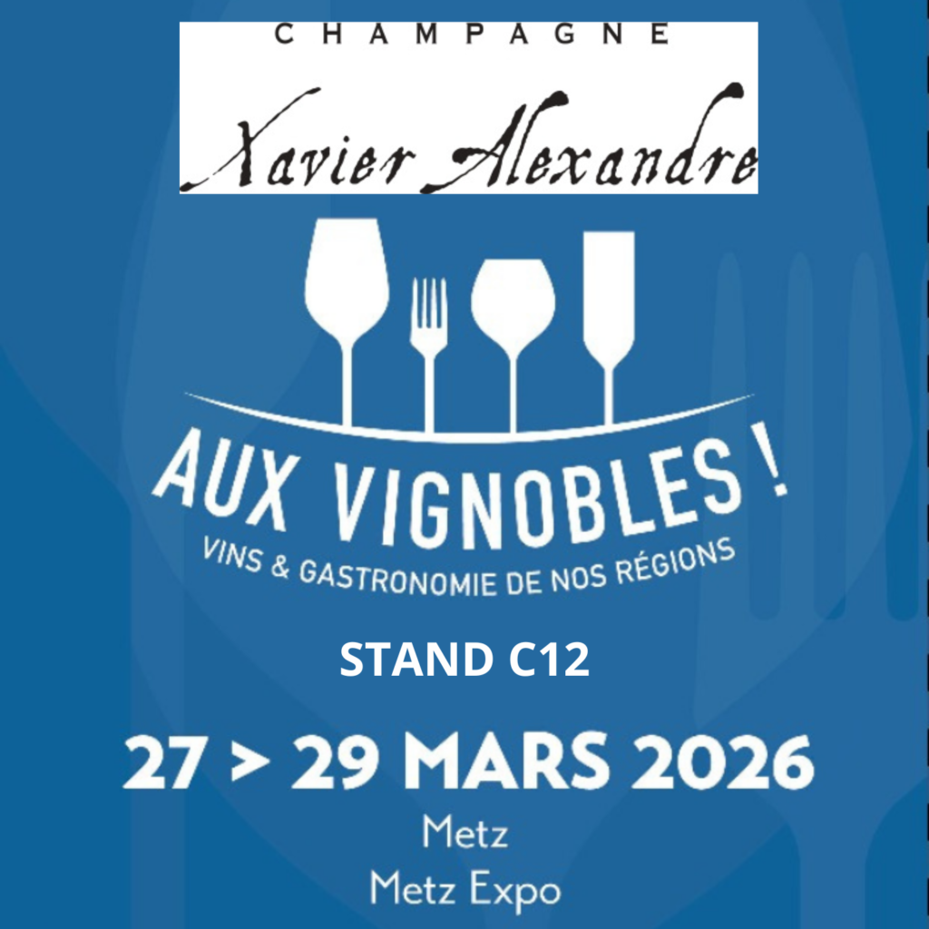 Salon Aux Vignobles à Metz