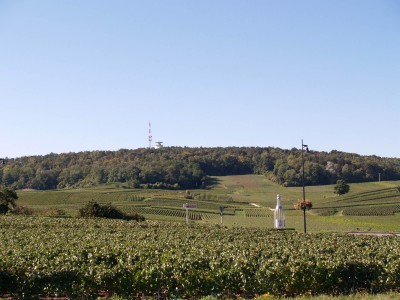 Vignoble de Vrigny, 51390 Marne